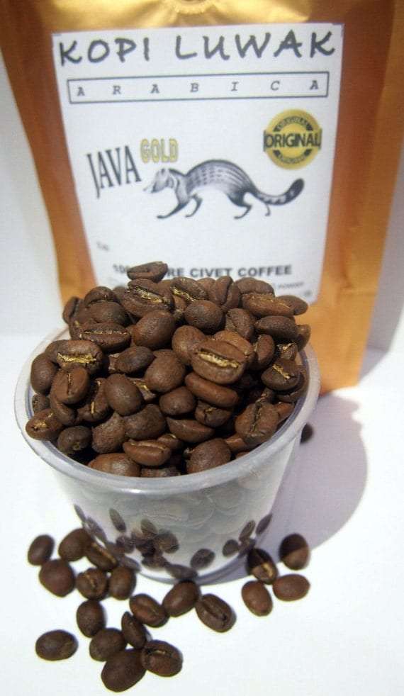 100% Authentic Java Kopi Luwak Arabica Wild Civet by BaliHead