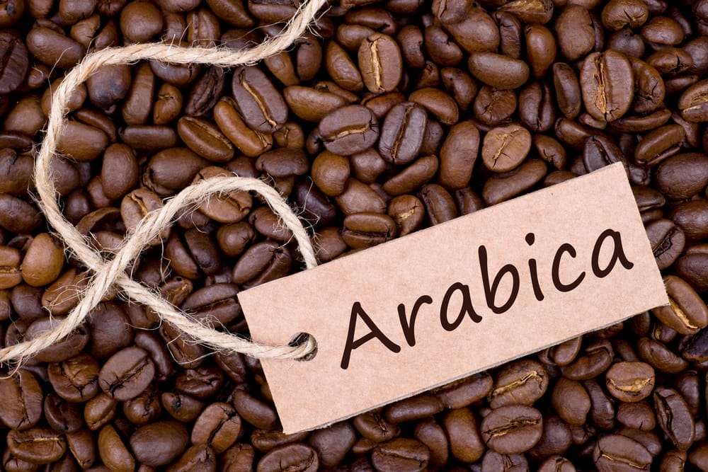 Arabica Coffee Beans  Araku Coffee Powder Online Buy ...