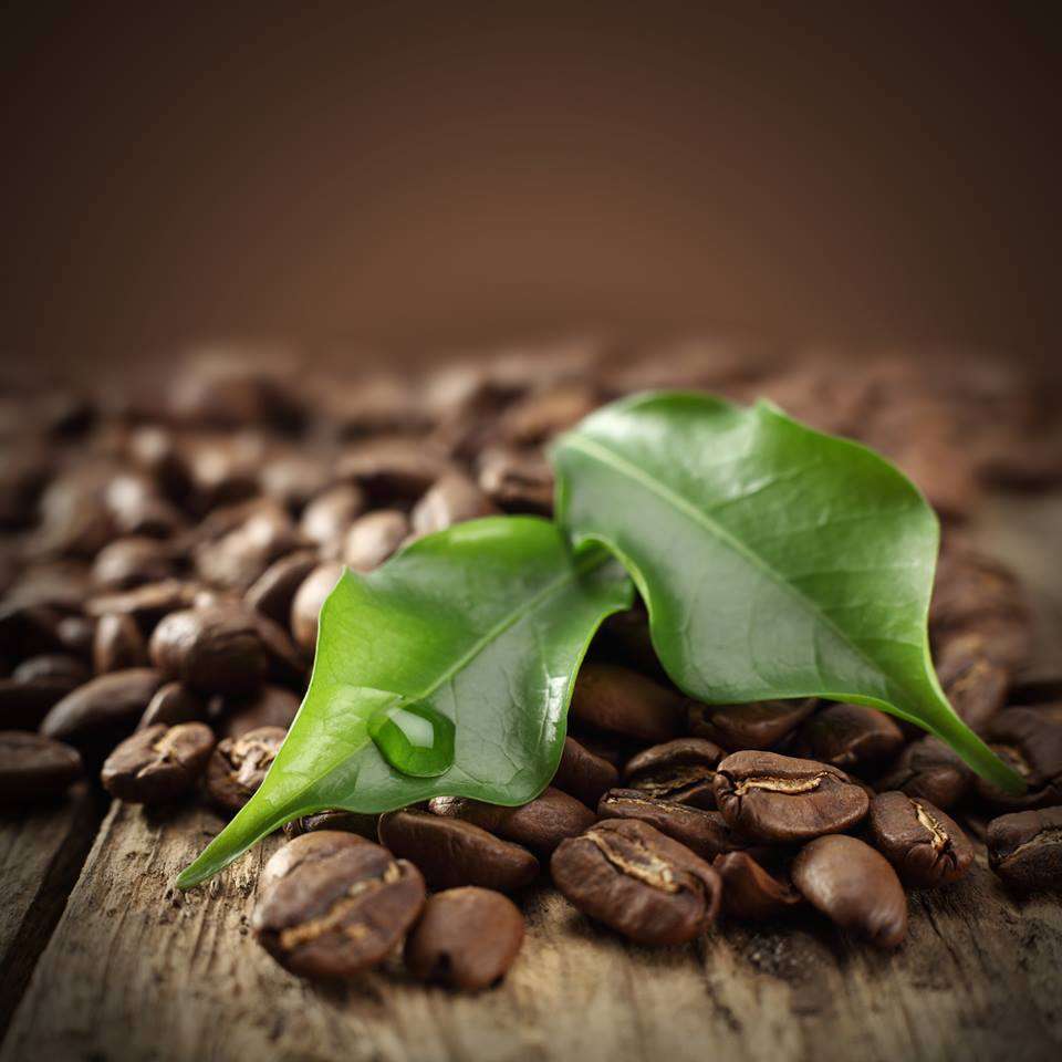 Best Wholesale Coffee Retailers Need to Sell ...