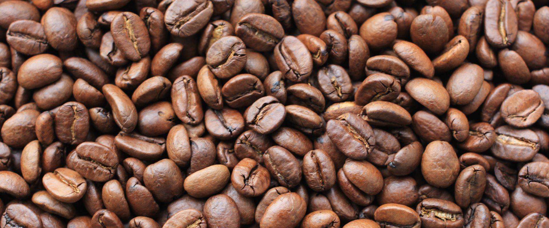 Buy Fresh Roasted Coffee Beans Online