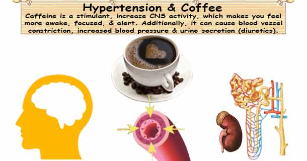 Caffeine &  Hypertension  Caffeine Drinks Raise Blood Pressure