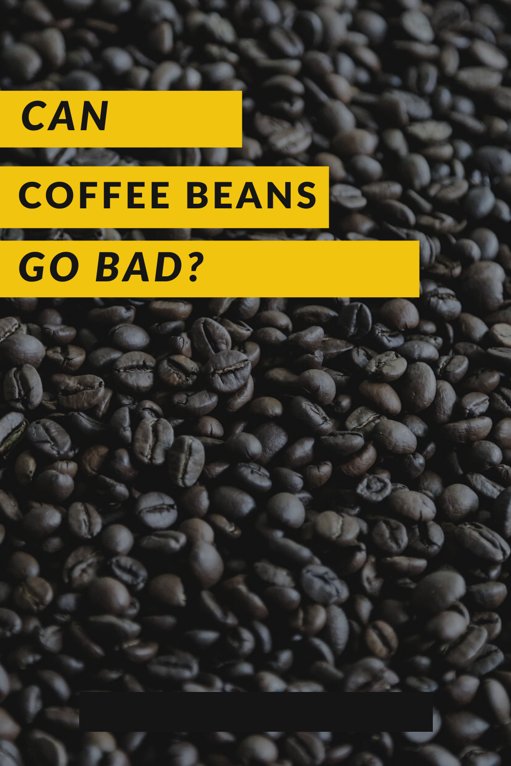 Can Coffee Beans Go Bad?