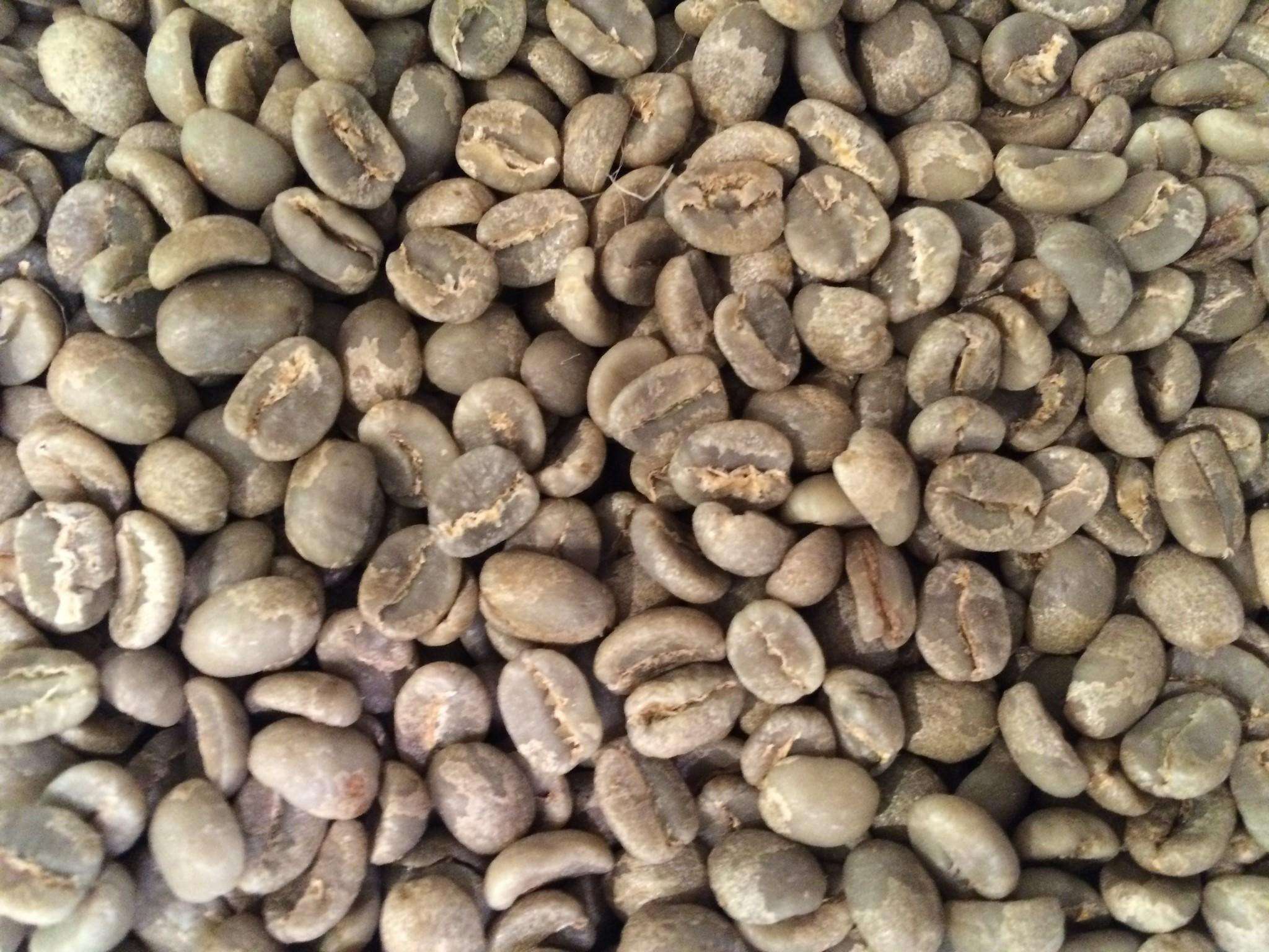 Coffee beans from green to dark