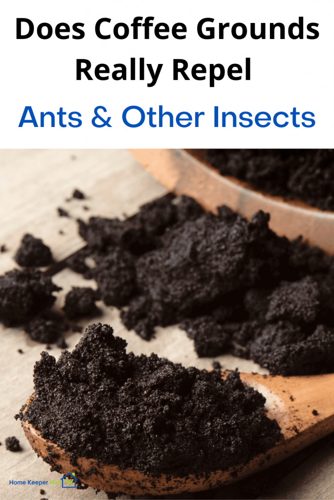 Does Coffee Grounds Really Repel Ants &  Other Insects ...