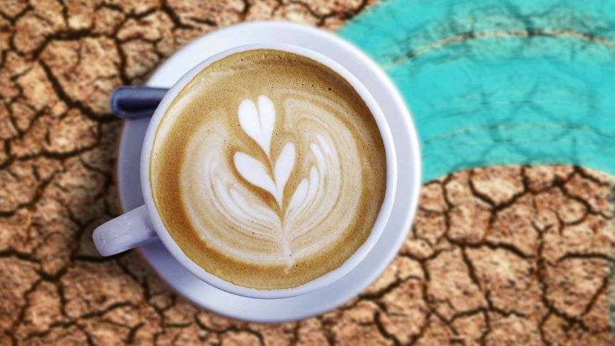 Does drinking coffee make you dehydrated?