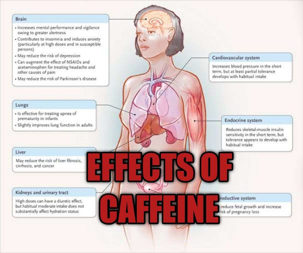 Effects of caffeine on brand