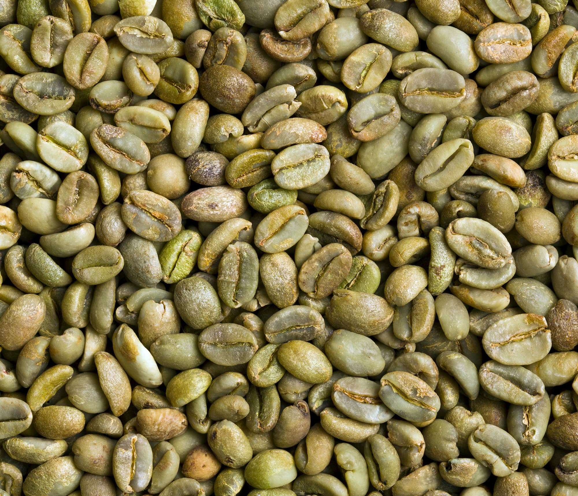 Green Coffee Bean Experts