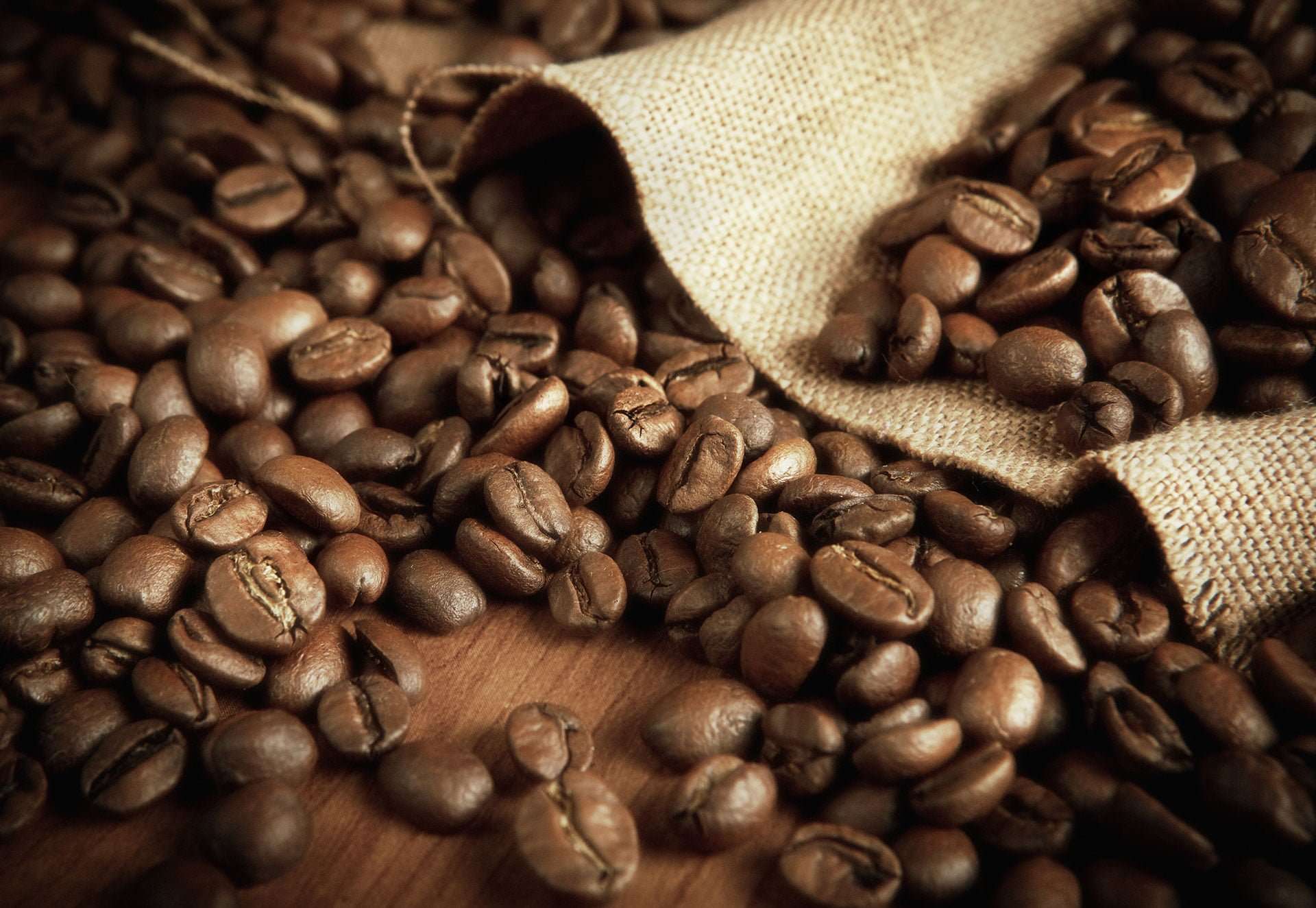 High quality coffee beans