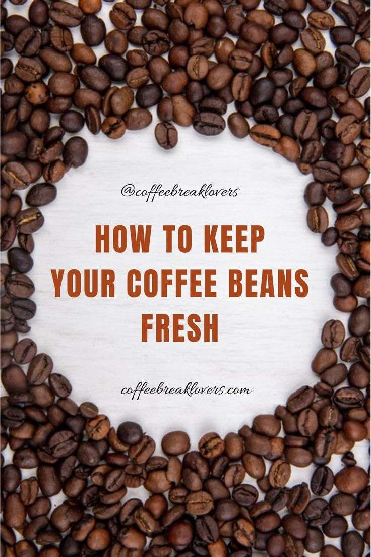 How Long Do Coffee Beans Last? Keep Your Coffee Fresh ...