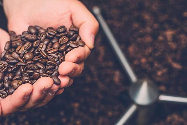 How Long Do Coffee Beans Stay Fresh?