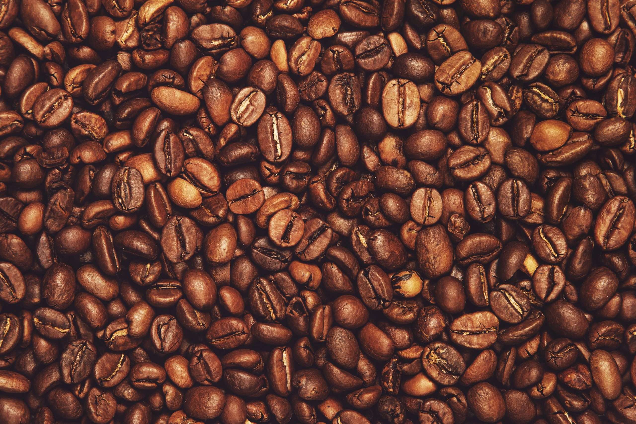 How to Choose the Right Wholesale Coffee Beans for Your ...