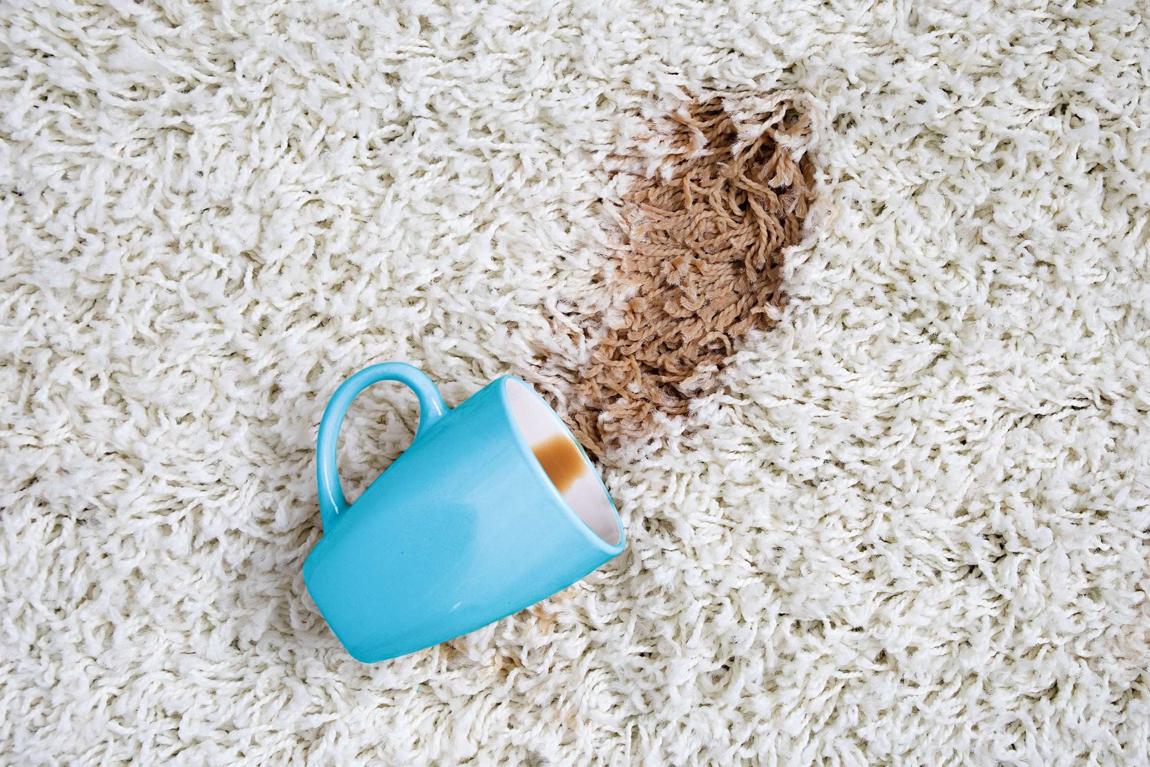How to Get Coffee Stains Out of Carpet â Coffee Spill on ...