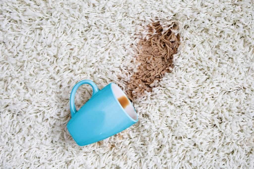 How to Get Coffee Stains Out of Carpet  Coffee Spill on ...