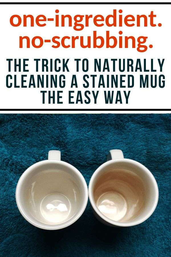 How to naturally clean a stained mug with one ingredient