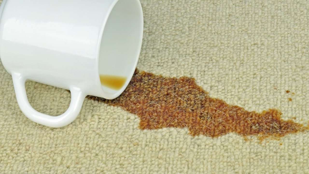 How To Remove Coffee Stains Without Chemicals: Tips and ...