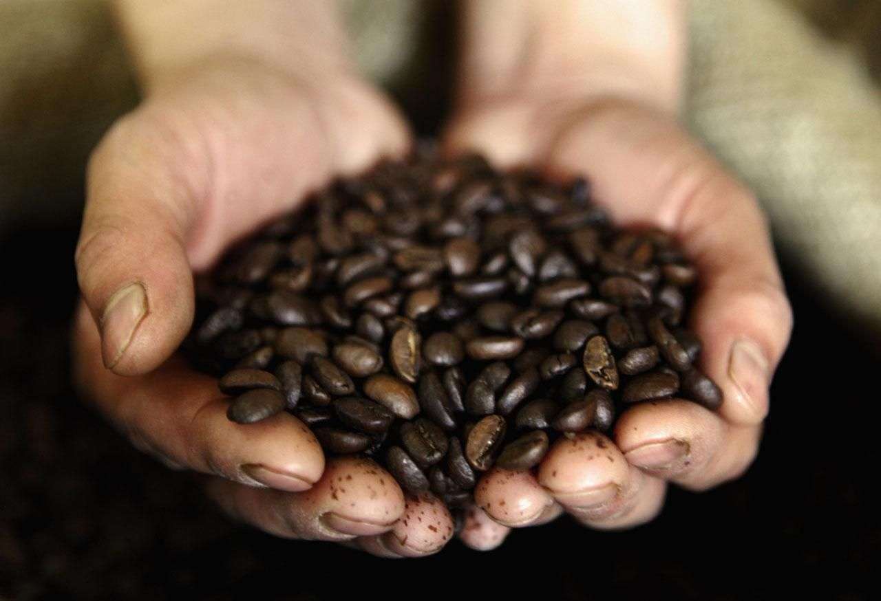 How to Trade Coffee Futures