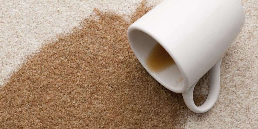 How you can remove a coffee spot or stain from your carpet ...