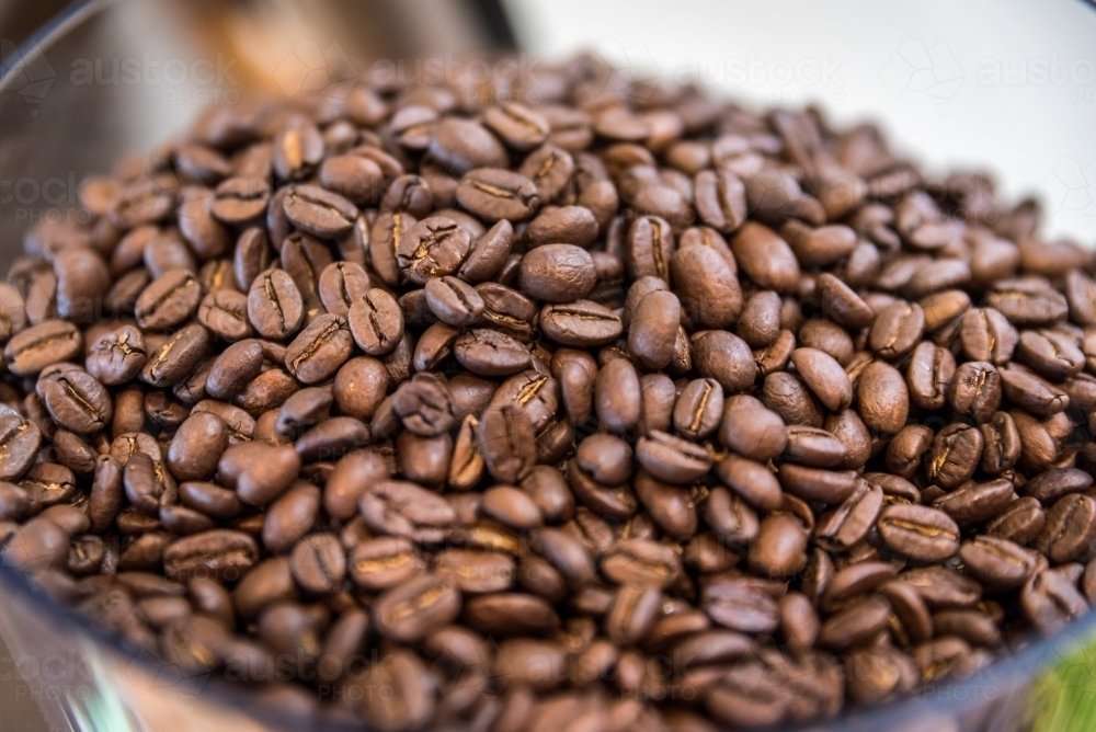 Image of Fresh coffee beans in grinder