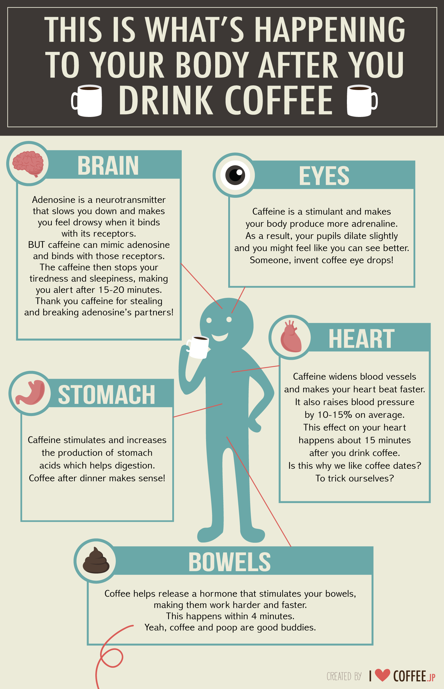 Infographic: What Happens To Your Body After Drinking ...