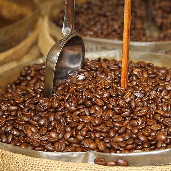 Organic Single Origin Coffee Beans 1 lbs  Parrot Coffee
