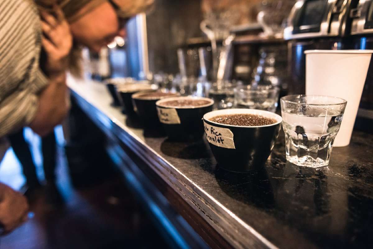 Perfecting the Pour: Nashville Coffee Classes