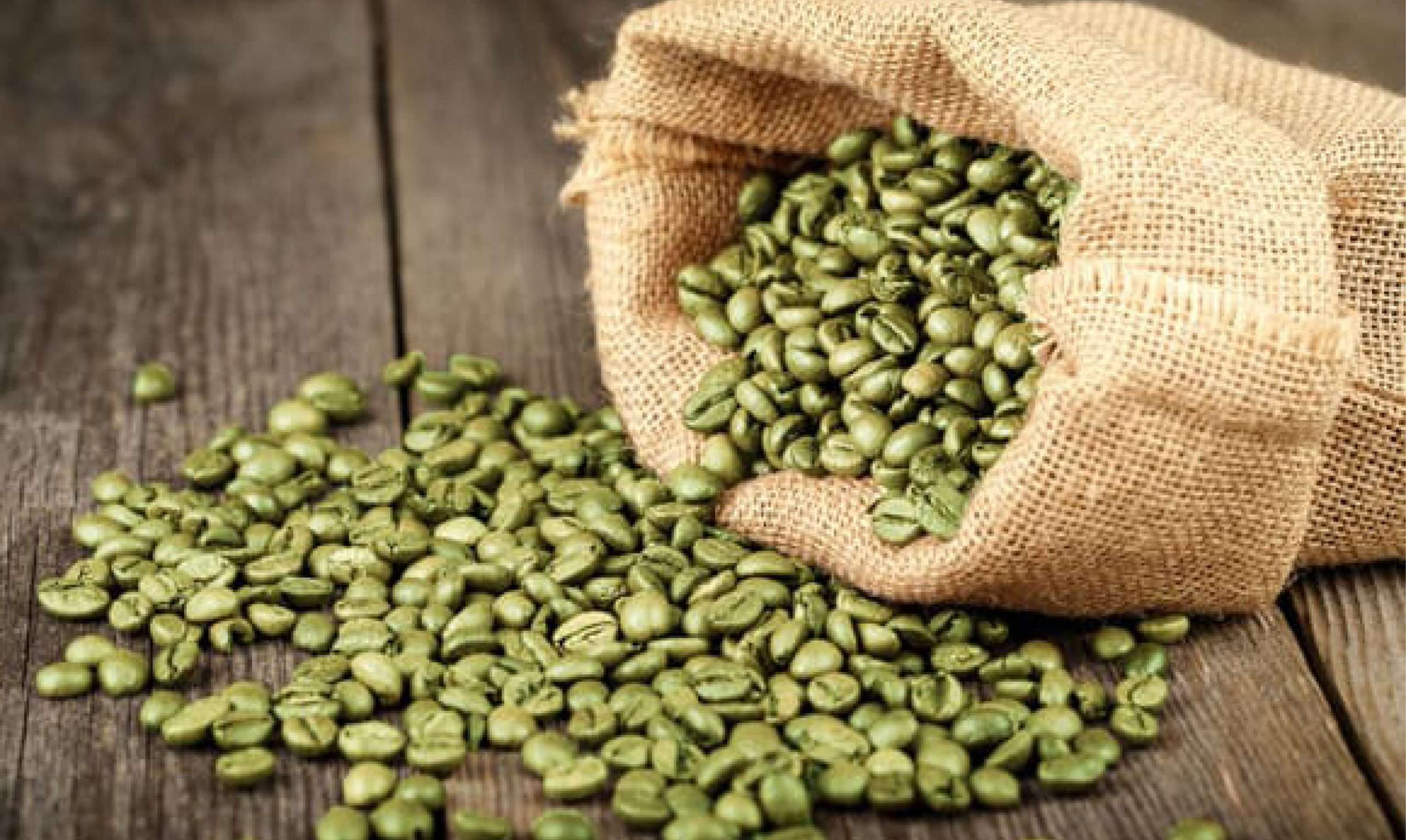 The Benefits of Green Coffee Bean