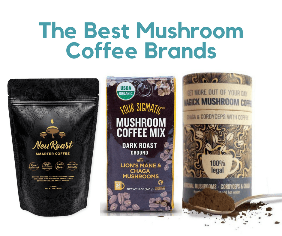 The Best Mushroom Coffee Brands for 2019 (You Have to Try ...