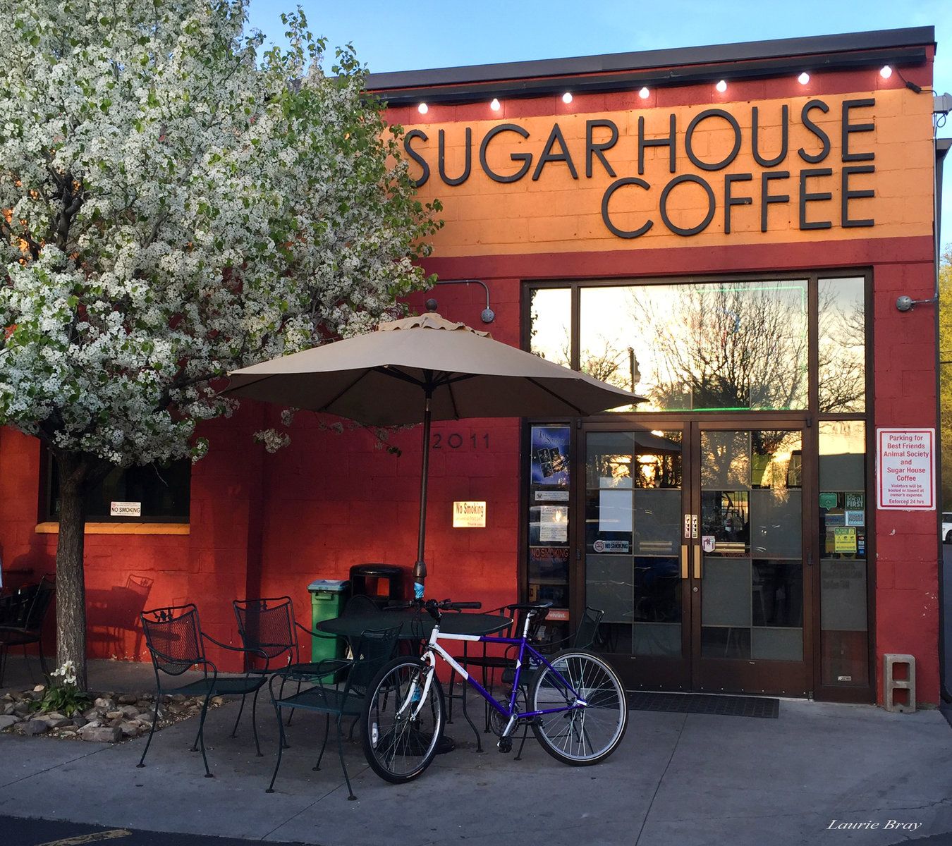 The Top Coffee Shops in Salt Lake City, Utah