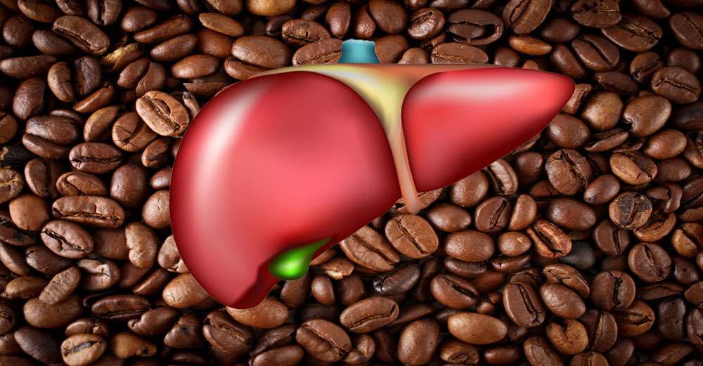 This is What 2 Cups of Coffee Per Day Will Do To Your Liver