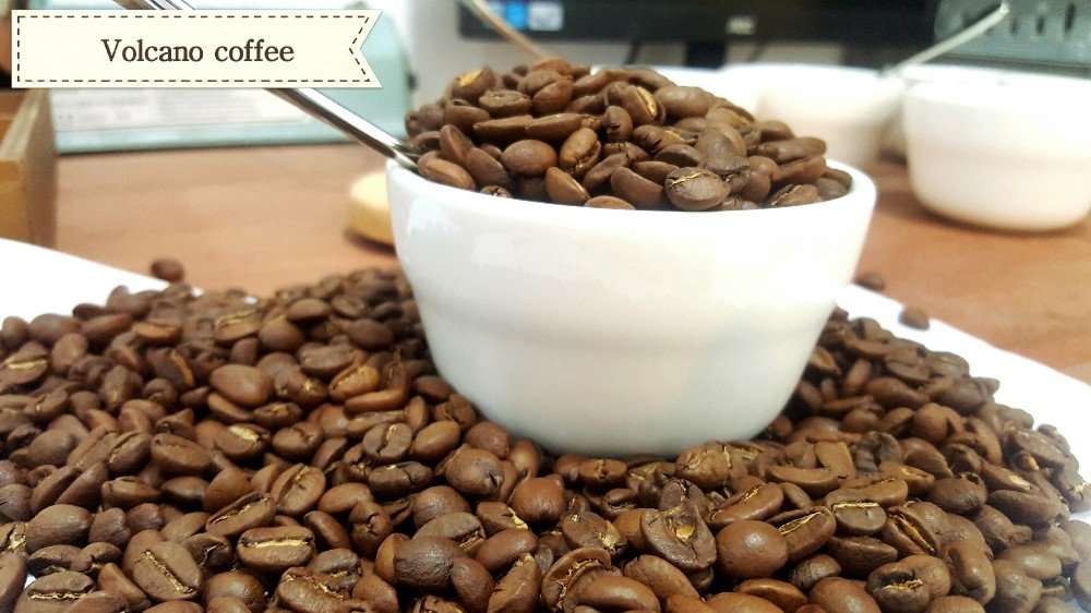 Vietnam Arabica Coffee Green Beans Price For Raw