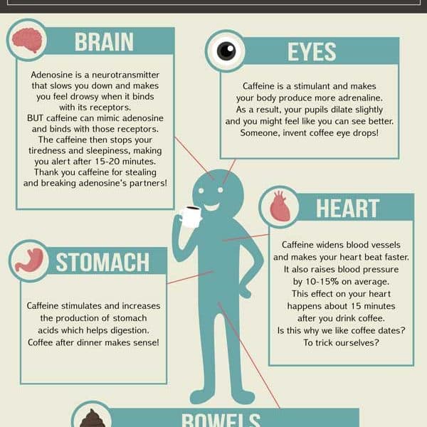 What Coffee Does To Your Body {Infographic}