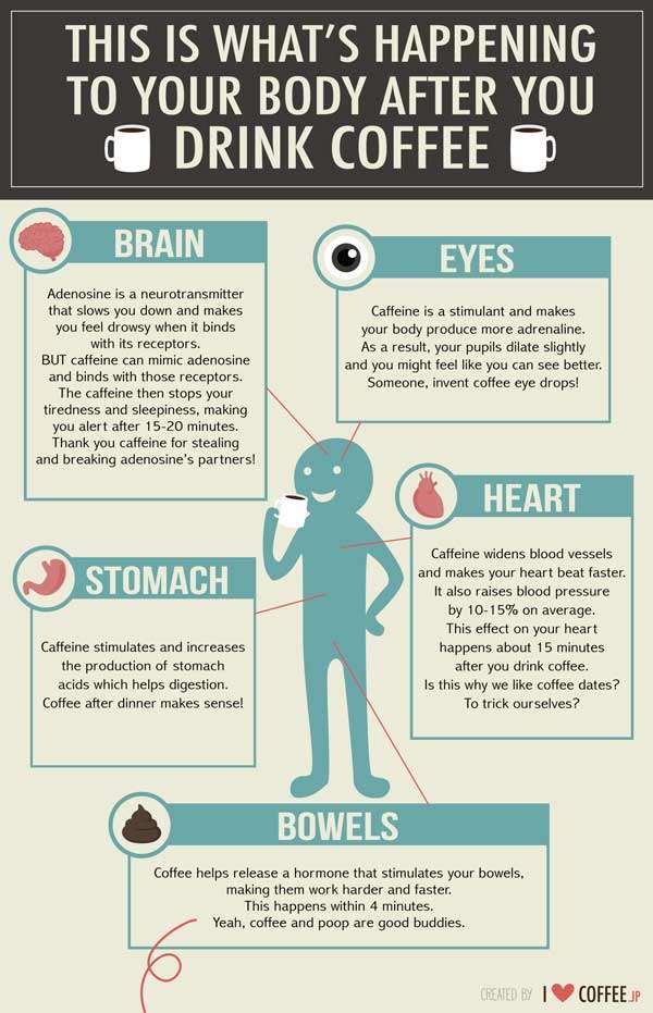 What Coffee Does To Your Body {Infographic}