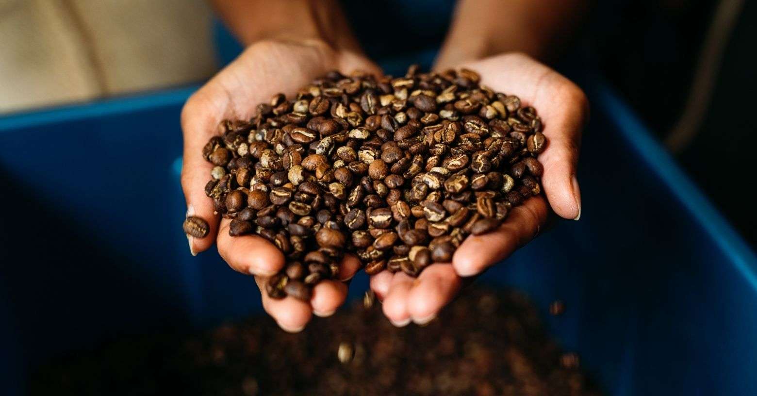 What Is The Difference Between Single Origin and Blend Coffee?