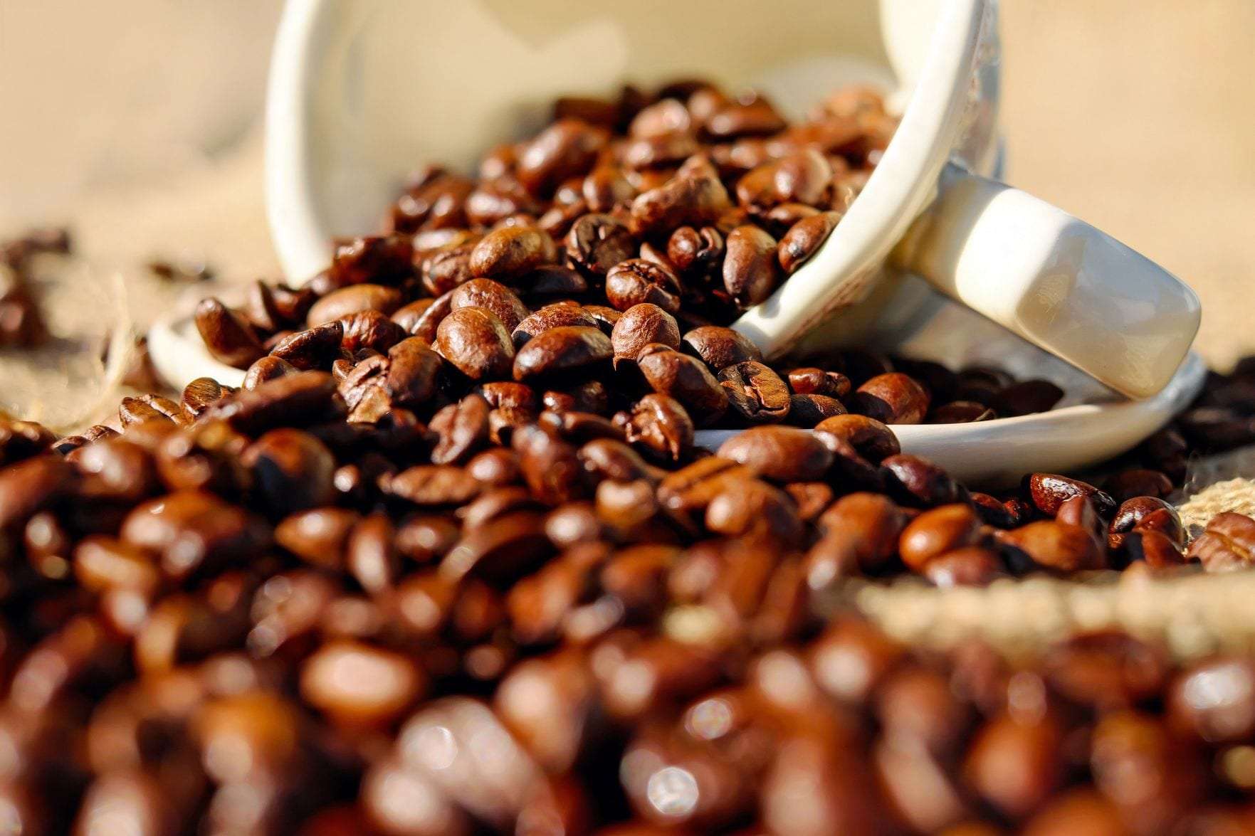Where To Buy The Best Kona Coffee Beans