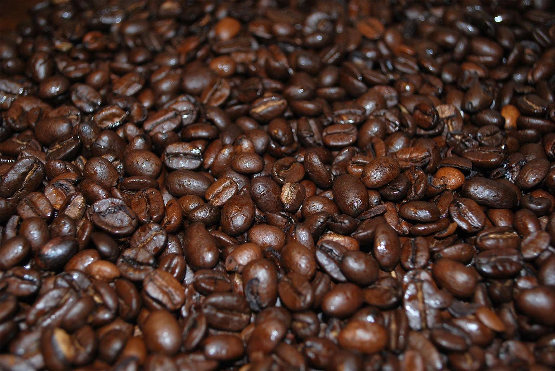 Wholesale Coffee Roaster