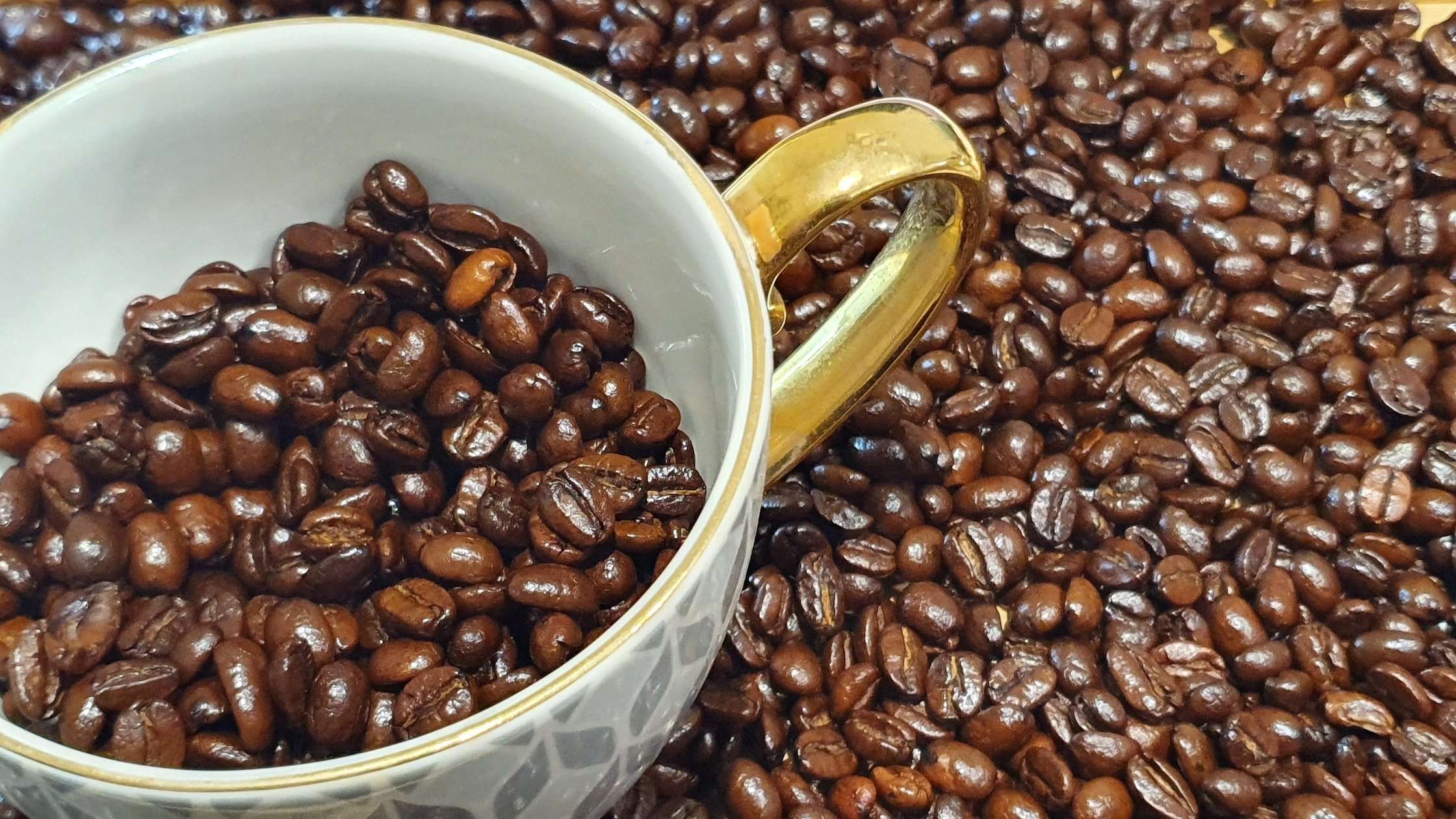 Why Choose Arabica Coffee Beans?